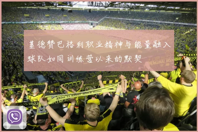 基德赞巴格利职业精神与能量融入球队如同训练营以来的默契